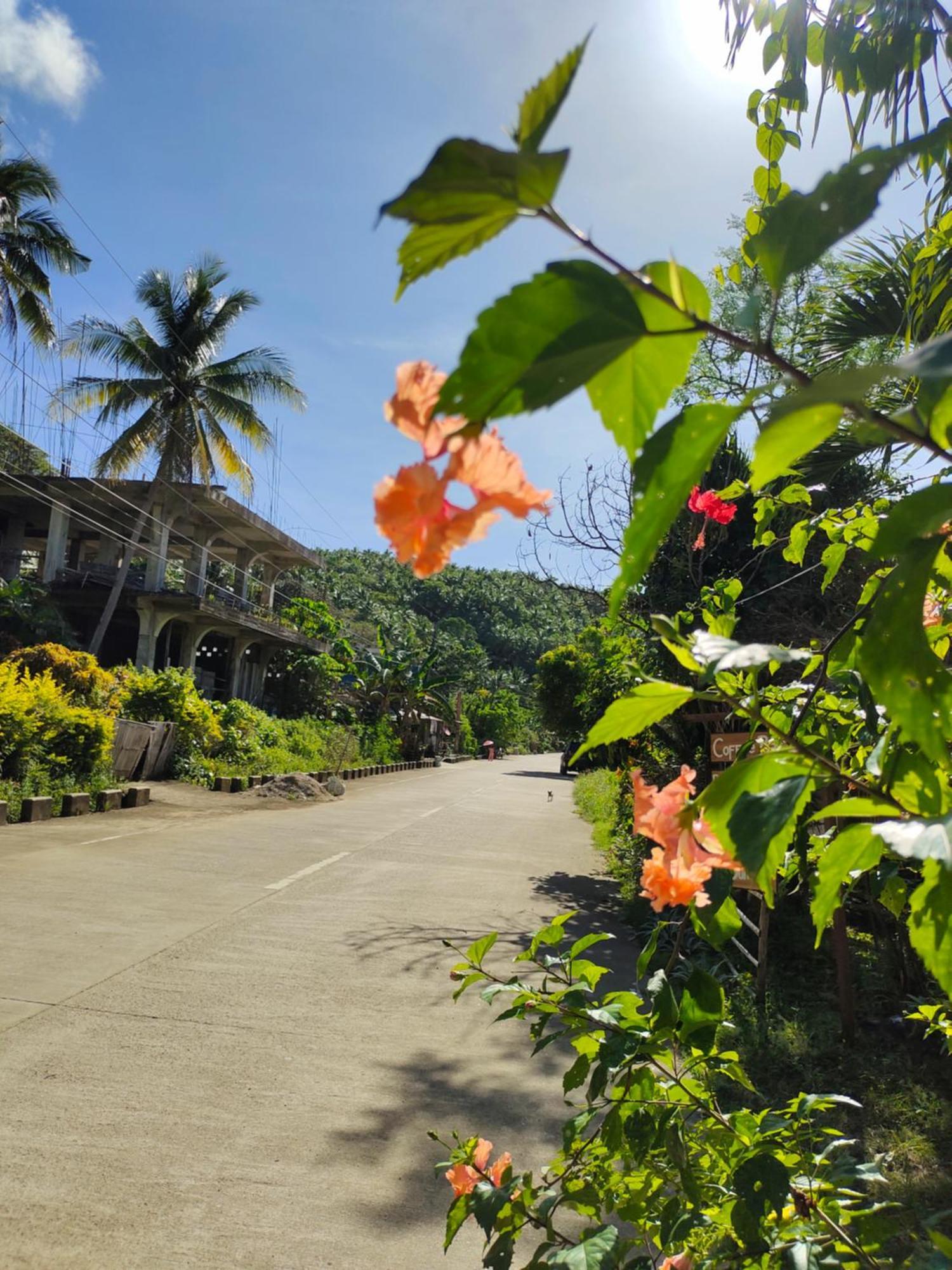 Reggae Vibes Bali Inspired Cottage Romblon Exterior photo